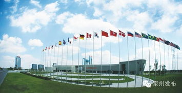 新春开门红 20个产业化项目扎堆中国医药城，技术服务开启新篇章